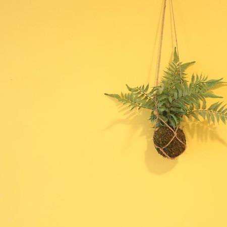 小巷微光 Apartment Lyudao Bagian luar foto