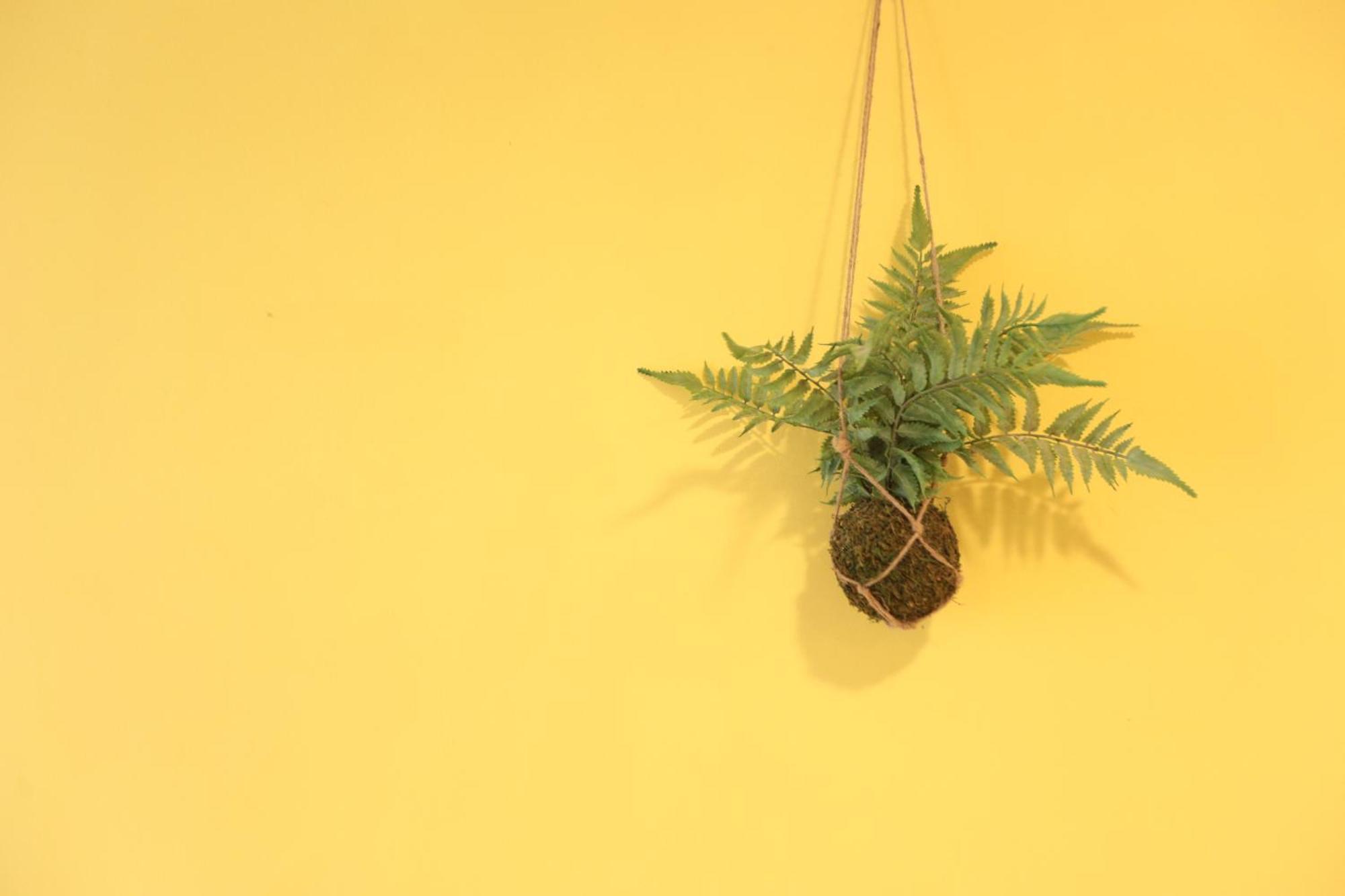 小巷微光 Apartment Lyudao Bagian luar foto